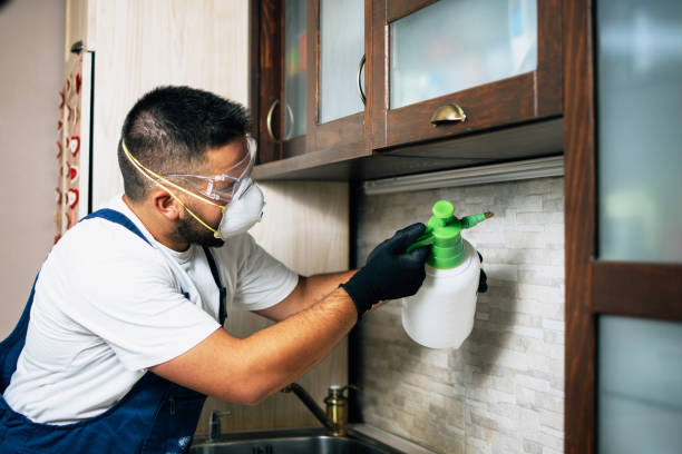 Best Best Pest Control Near Me  in Kahaluu Keauhou, HI