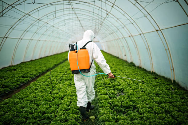 Pest Control Cost in Kahaluu Keauhou, HI