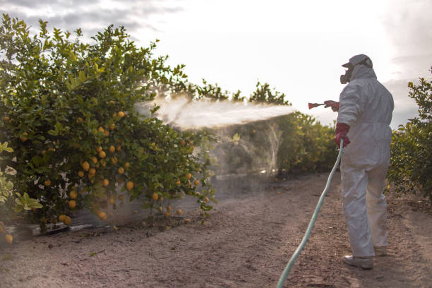 Pest Control Cost in Kahaluu Keauhou, HI